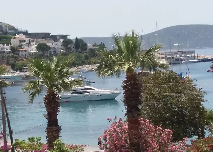 汽车旅馆 伯顿汽车旅馆 博德鲁姆